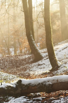 Ловушка  значимости