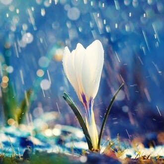 О желании исправить близких