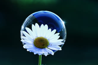 Простота, красота и тишина внутри