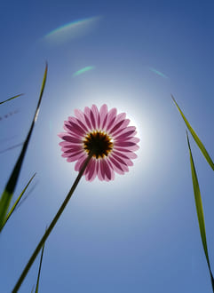 Вопросы ума и вопросы сердца