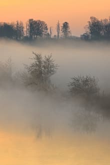 Лицом к будущему