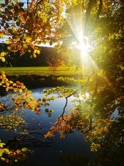 Финансовые обнуления