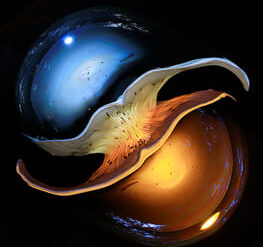 Принять в себе мужское и женское