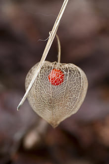 Иллюзия разделенности