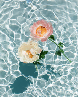 Посланцы любви