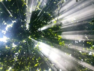 Принимая себя