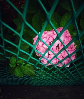 Про болячки тела и силу духа