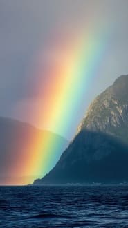 Симптомы новой реальности