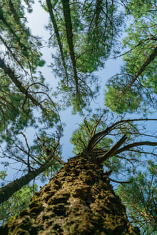 Принять себя, чтобы принять других