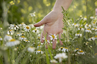 Страх как дверь к свободе
