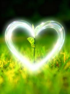 Страх как дверь к свободе