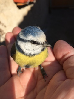 Бонусы неволи