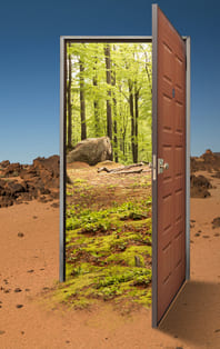 Когда мосты к старому сожжены...