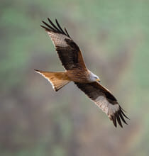 О выборе (что для нас правильно?)