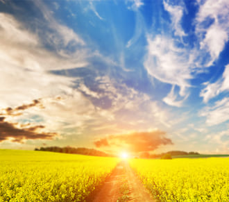 Как проживать откаты