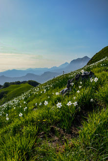 Стихия огня и процессы горения