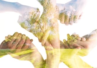 На пути в новый мир...