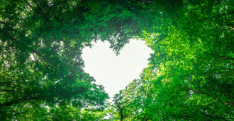 Как доверять неизведанному