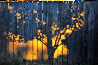 Связи между нами: ролевые и сердечные