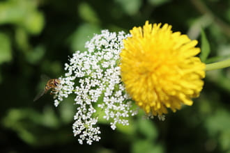 Связи между нами: ролевые и сердечные
