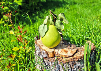 Метаморфозы, превращения и лучшее для нас