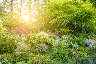 Метаморфозы, превращения и лучшее для нас