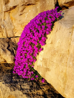 Об играх Эго и личной ответственности