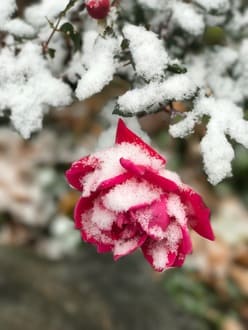 Займись собой