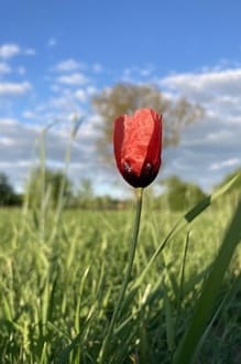 Ценность пустоты