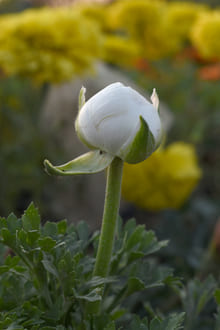 Как выбирать себя и можно ли быть такой счастливой?