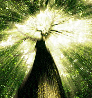 Как выбирать себя и можно ли быть такой счастливой?