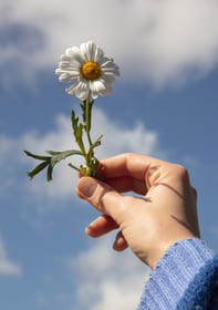 Псевдотоска и зачем поднимать себя за косичку