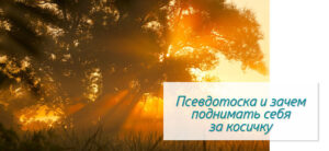 Elementor #22324