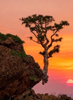 Не борьба, а любовь (как сердечному человеку постоять за себя?)