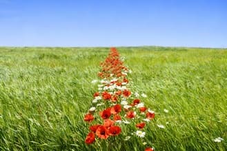 О наших "якорях"