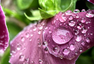 О подлинном принятии и исцелении прошлого