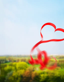 О разнице восприятий