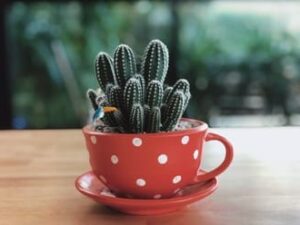 О раскрытии горлового центра