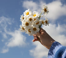 Управлять солнцем своей души...