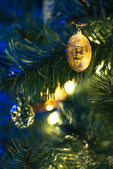 Волшебство жизни и ценность живого