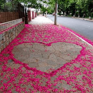 Очищая дно (сильные потрясения)