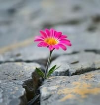 Вспоминая драгоценность женского начала в себе