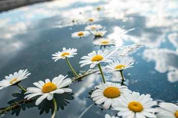 Единение с людьми по-новому