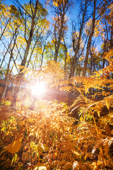 Единство духовного и материального