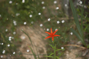 Как жить, если ничего не хочется?