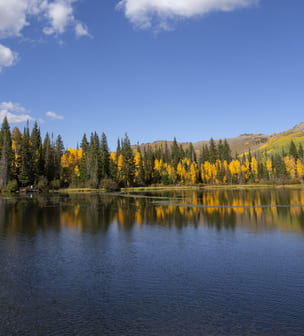 О силе Духа, силе Любви