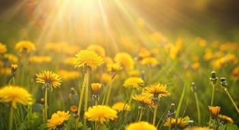 Огненная волна