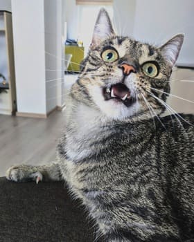 Почему на нас нападают?