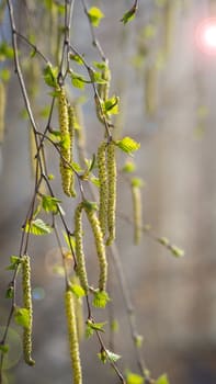 Груз вины: причины и освобождение (часть вторая)