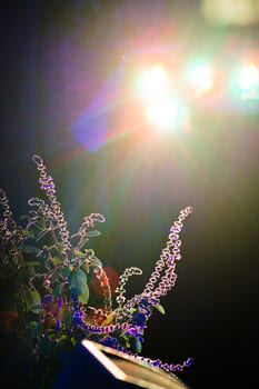 Груз вины: причины и освобождение (часть вторая)